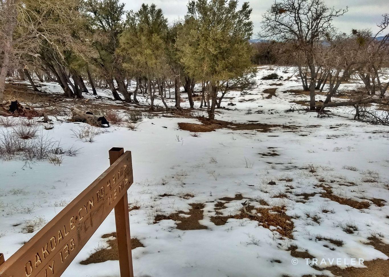 Snowy ground with a wooden sign and trees under an overcast sky.