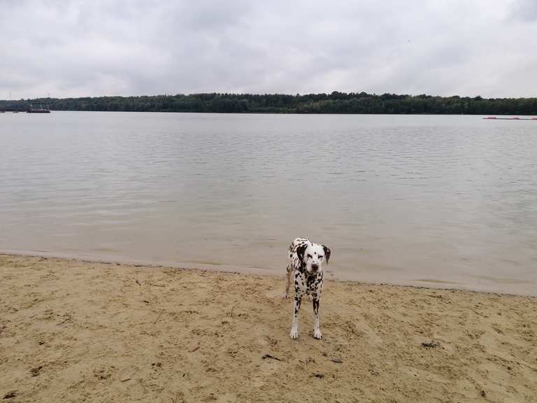 Dülmen Silbersee III ⛵🌊 Haltern am See, Recklinghausen