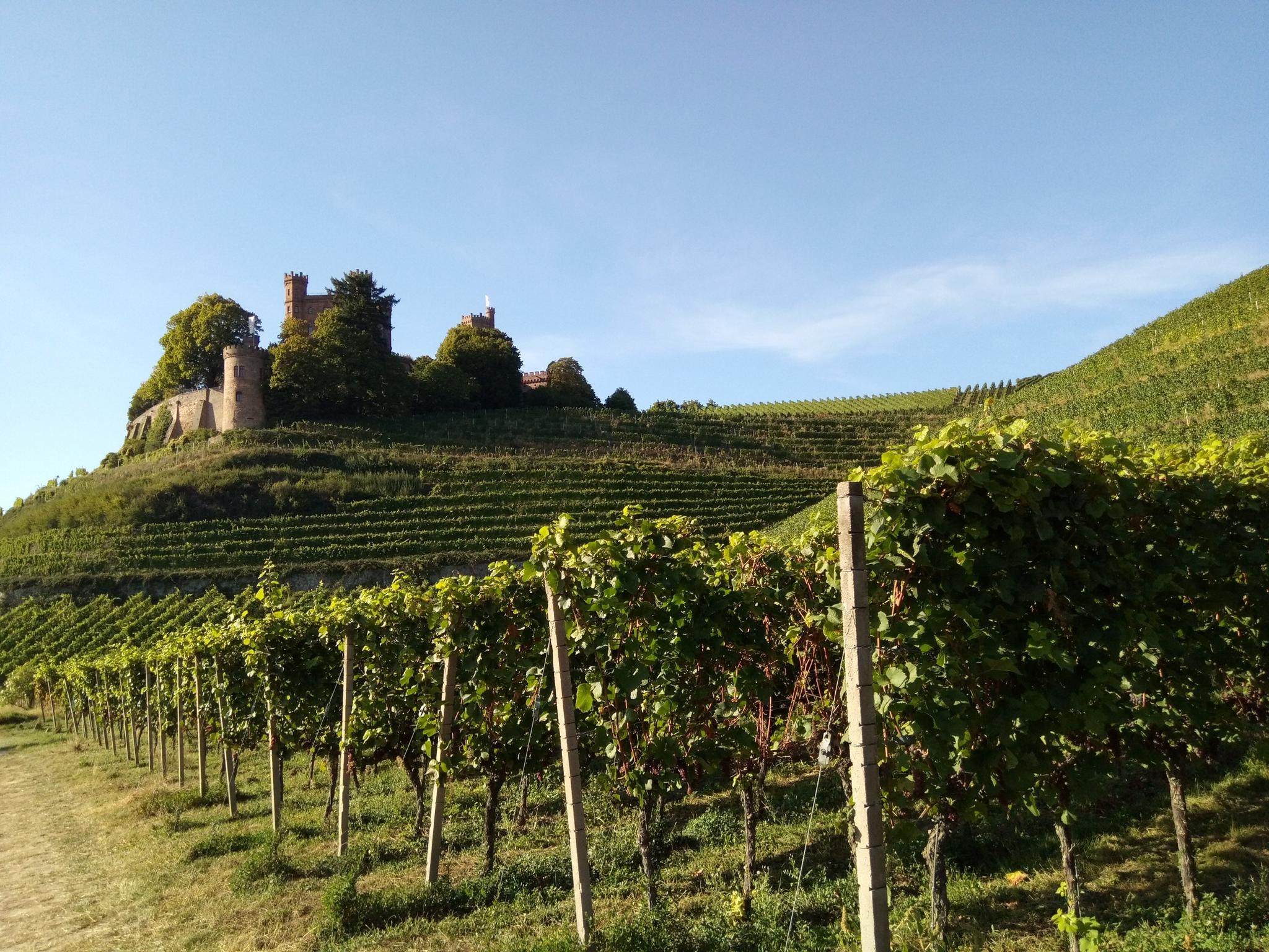 Aussicht Auf Schloss Ortenberg - Cycle Routes And Map | Komoot