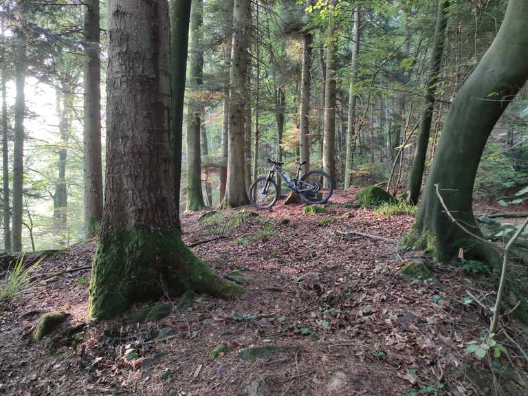 Würmtal-Radweg : Radtouren und Radwege | komoot