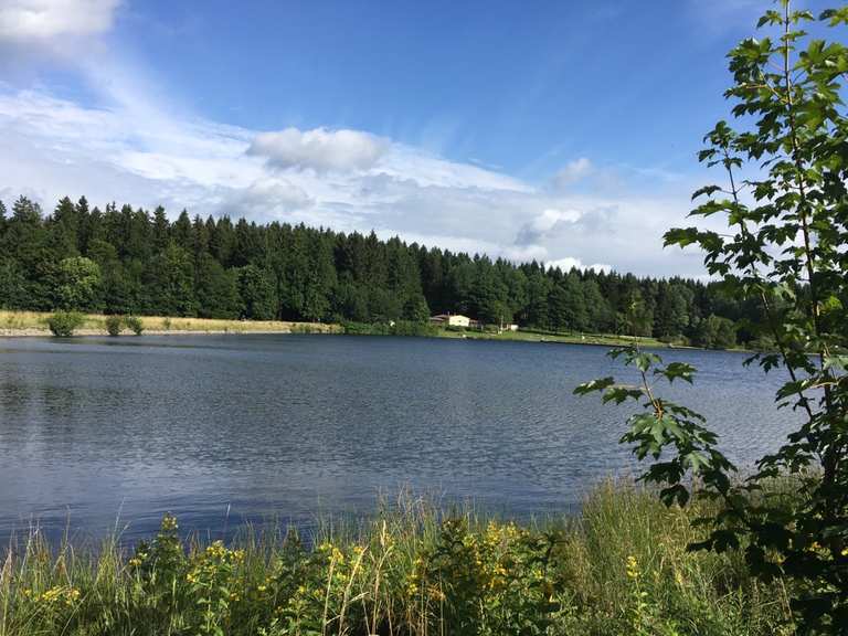 Oberer Hausherzberger Teich Wanderungen und Rundwege komoot