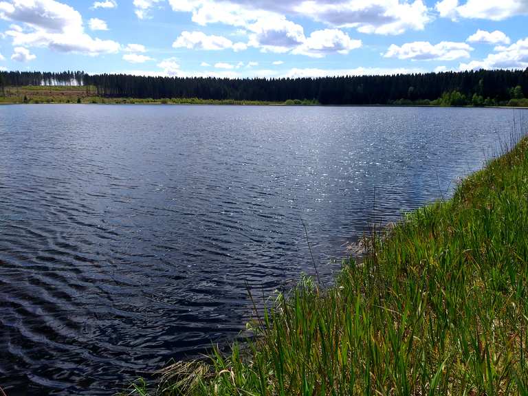 Staudamm Hirschler Teich Wanderungen und Rundwege komoot