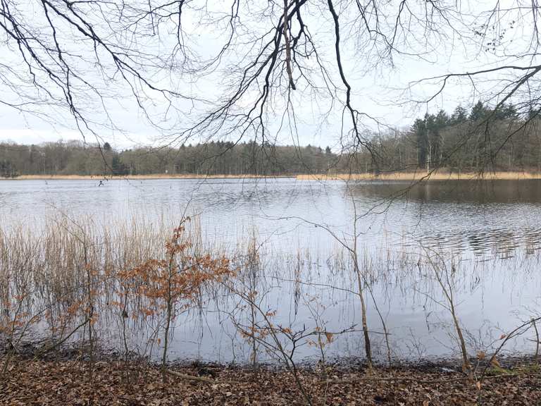 Entlang des Bredenbecker Teiches Wanderungen und Rundwege komoot