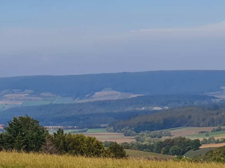 Naturschutzgebiet Ithwiesen - Mountain Bike Trails & Tracks | Komoot