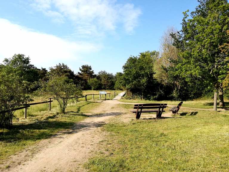 Schwanheimer Düne: Wanderungen und Rundwege | komoot