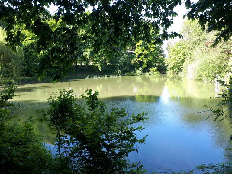 Waldteich Würnitz Routes for Walking and Hiking Komoot