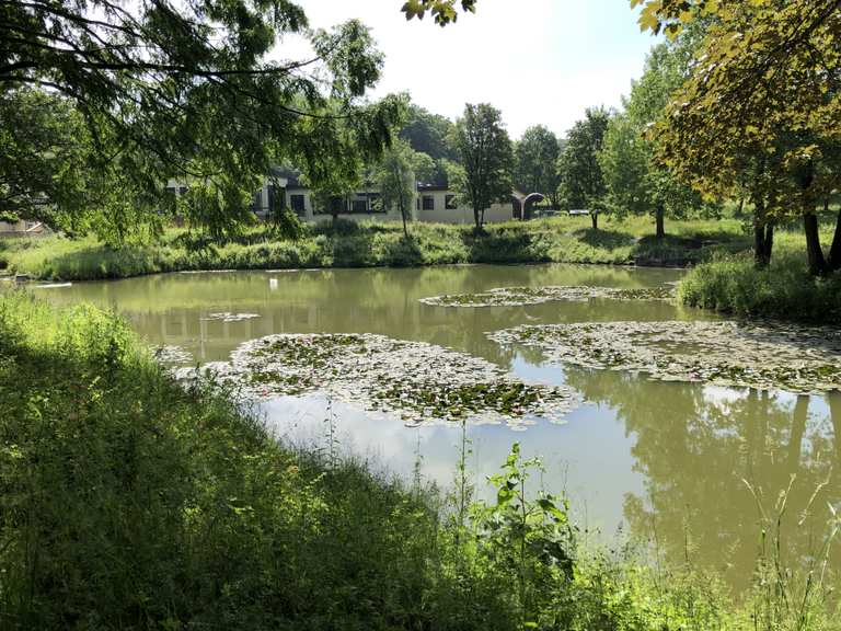 Bad Hermannsborn Radtouren und Radwege komoot