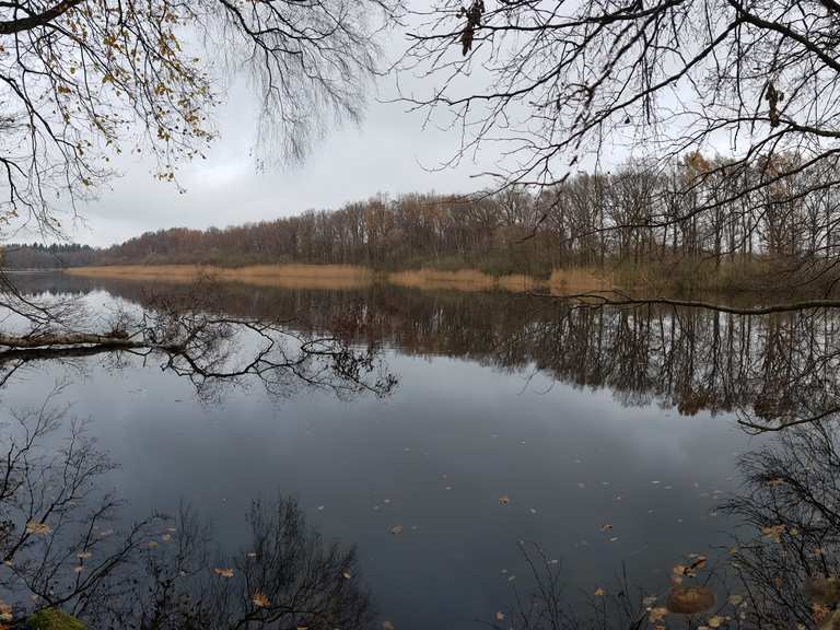 Bredenbeker Teich Routes for Walking and Hiking Komoot