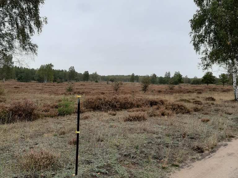 Tiergartenbrücke – Oranienbaumer Heide Runde von Möhlau | Fahrradtour ...