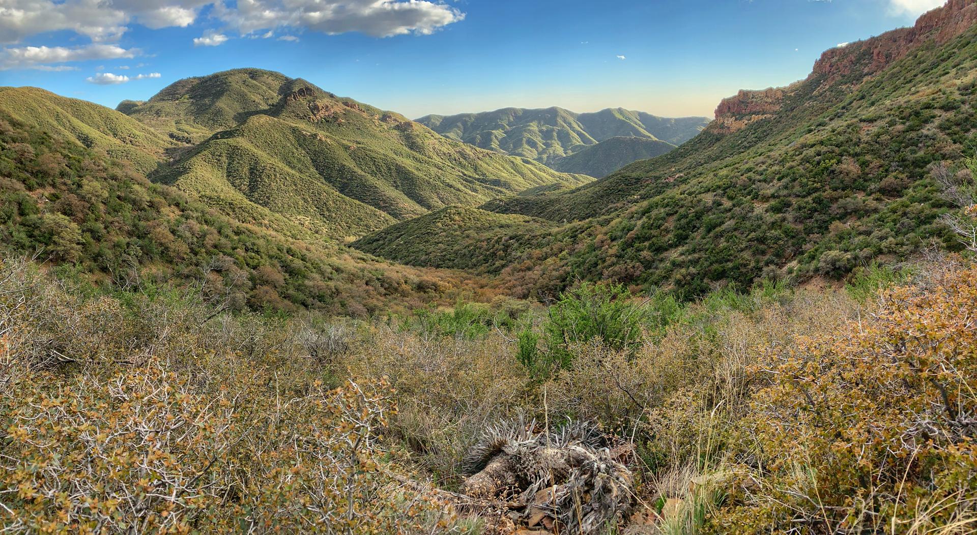 Panoramic view of lush green mountains and valleys under a blue sky.
