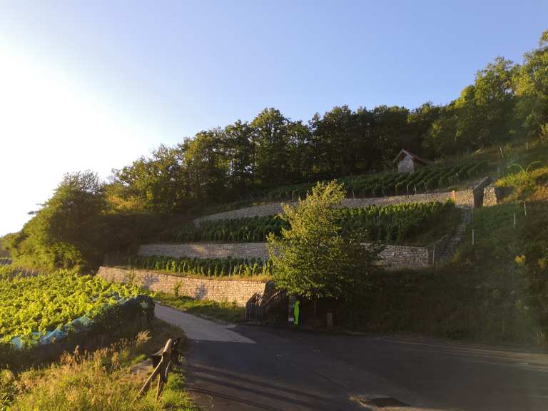 Geschichtsweinberg Iphofen Wandelroutes En Hikes Komoot