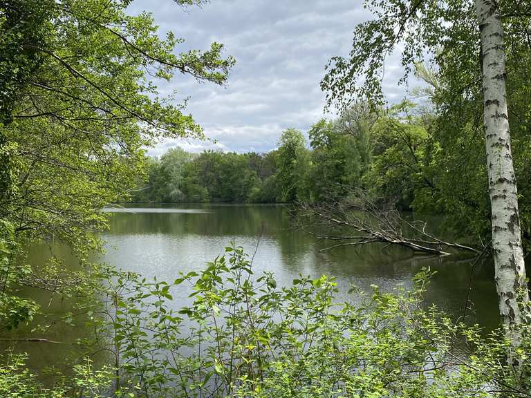 Karpfenteich Wanderungen und Rundwege komoot