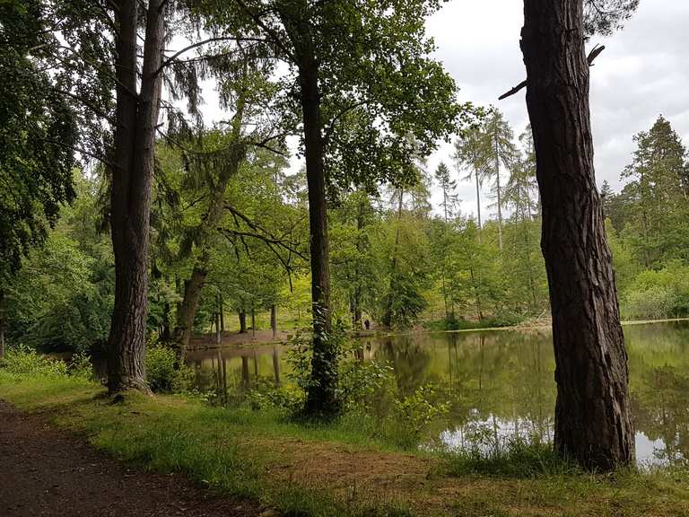 Grünwiesenweiher Wanderungen und Rundwege komoot