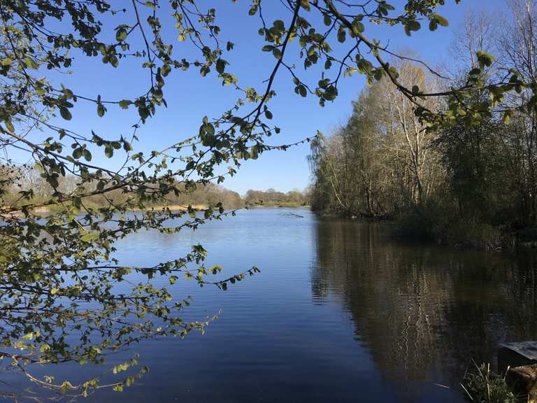 Timmenhorner Teich Radtouren und Radwege komoot