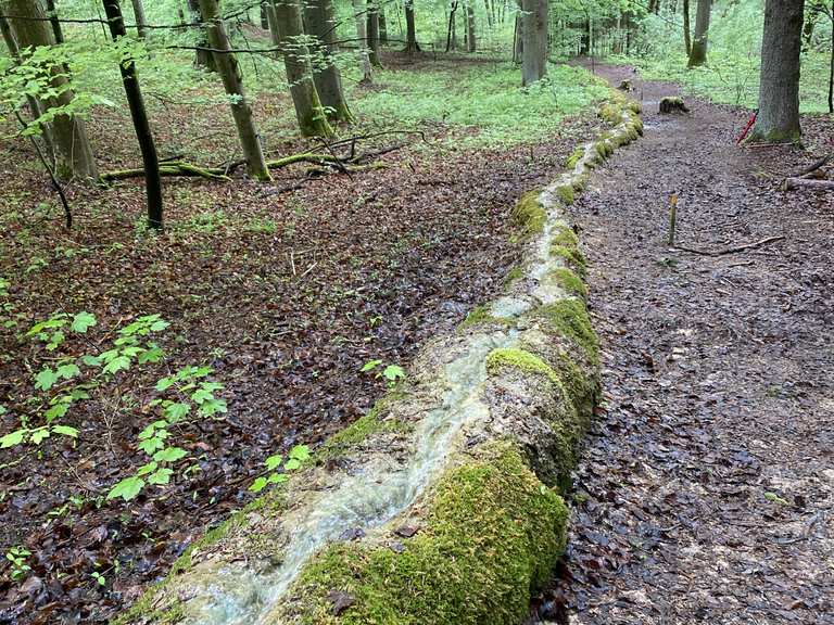 Die Steinerne Rinne bei Roschlaub – Wander- & Radrouten | Komoot