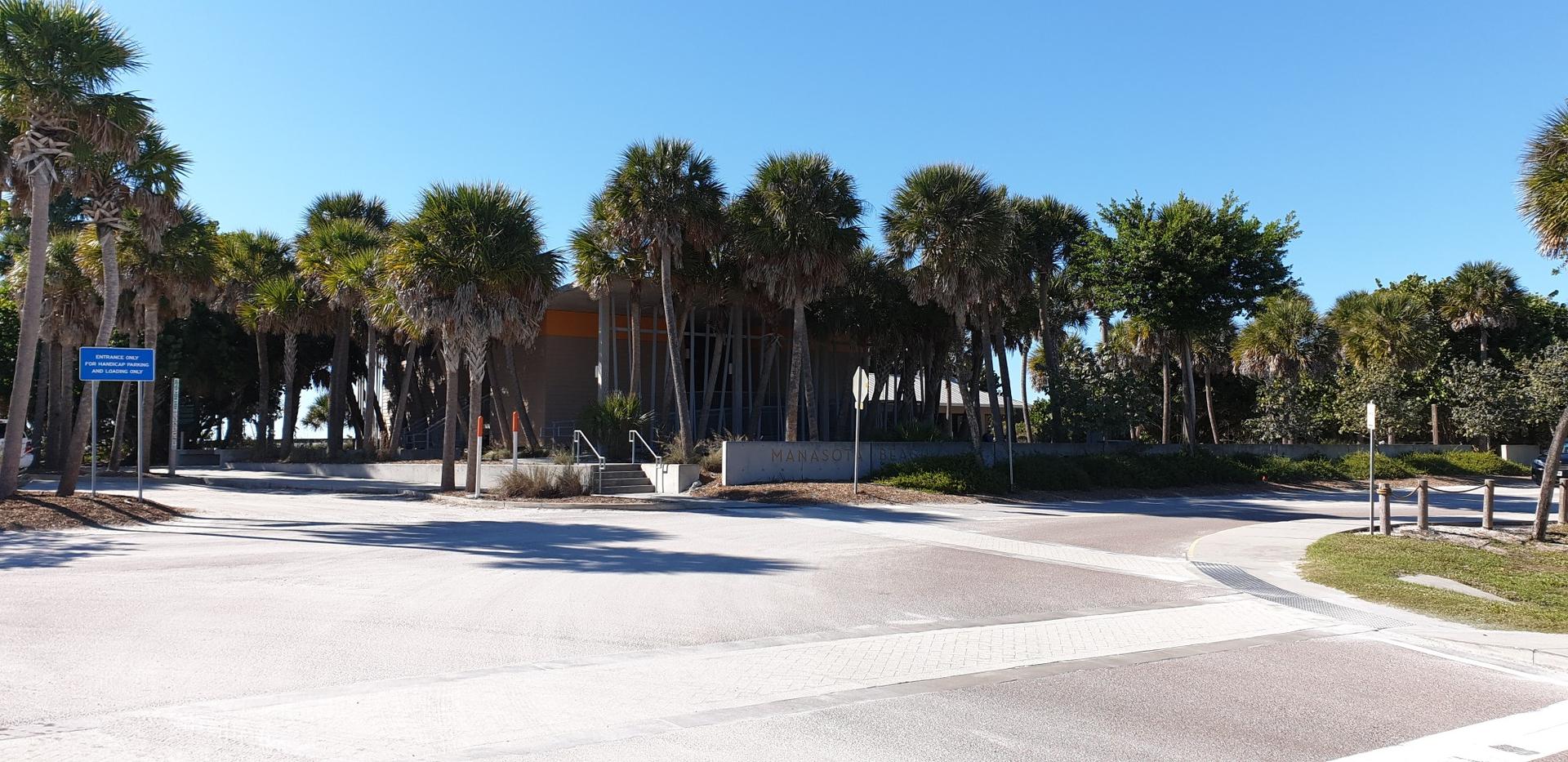 Paved area surrounded by tall palm trees on a sunny day.