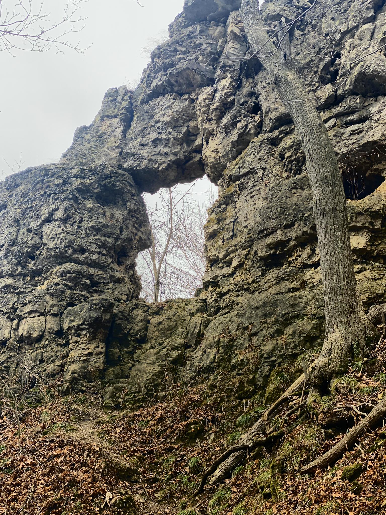 Large rock formation with a natural arch, surrounded by bare trees.