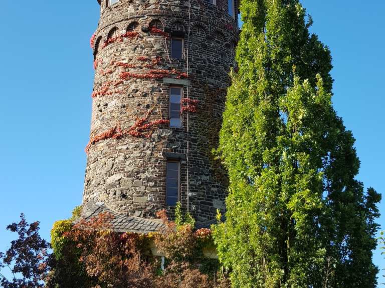 Mäuseturm Radtouren und Radwege komoot