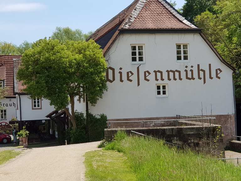 Biergarten Wiesenmühle Radtouren und Radwege komoot