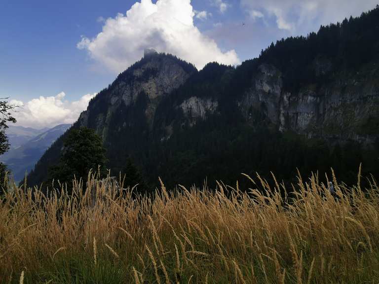 Steiler Abstieg nach Hofstetten: Wanderungen und Rundwege | komoot