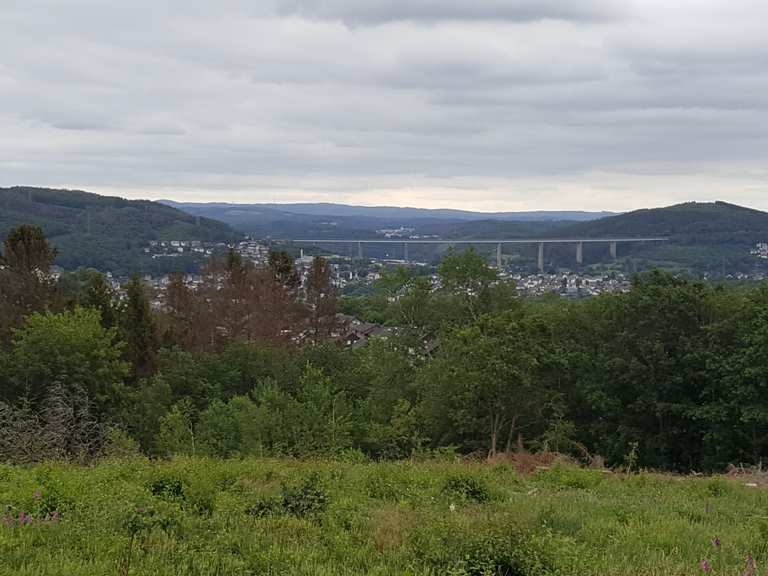 Mudersbach/Birken: percorsi e itinerari MTB | Komoot