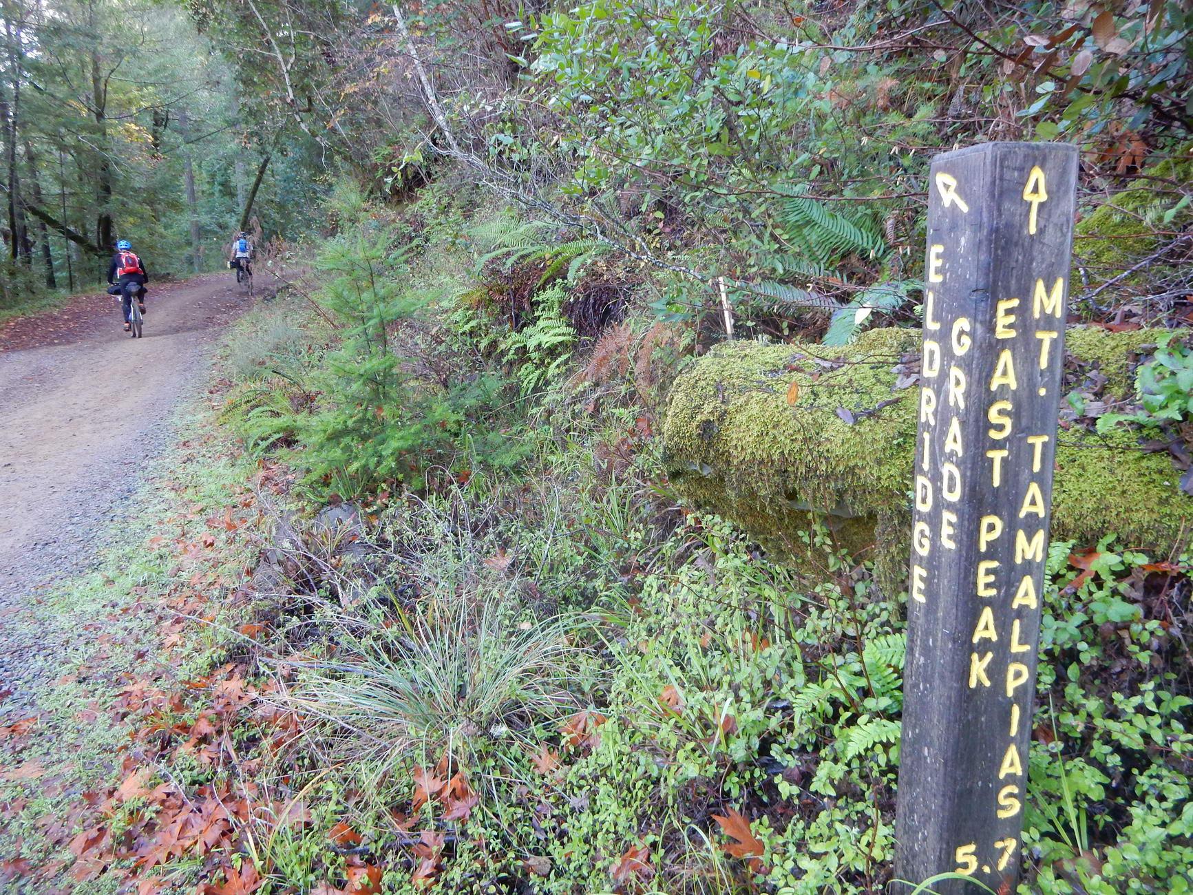 A wooden trail sign next to a dirt path with two distant cyclists.