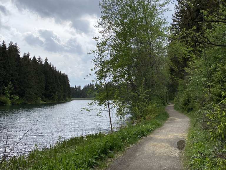 Kuttelbacher Teich Harz, Deutschland Wandertipps & Fotos Komoot