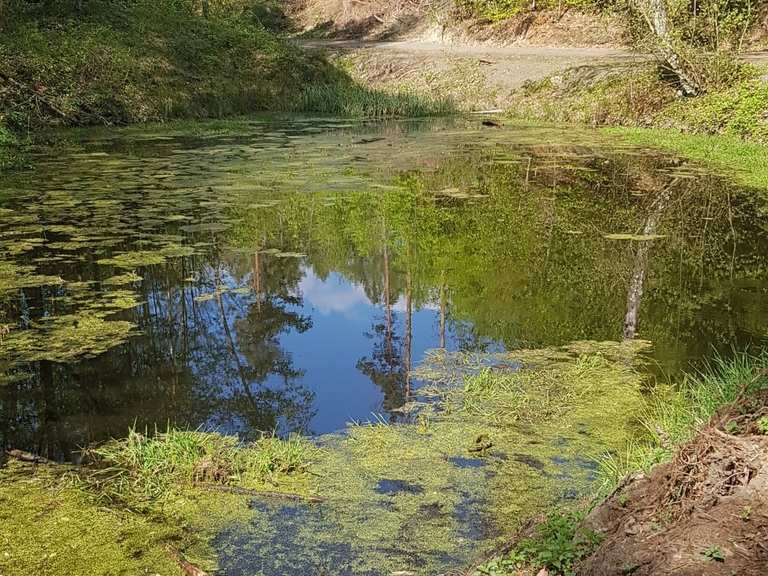 Sieben Teiche Routes for Walking and Hiking Komoot