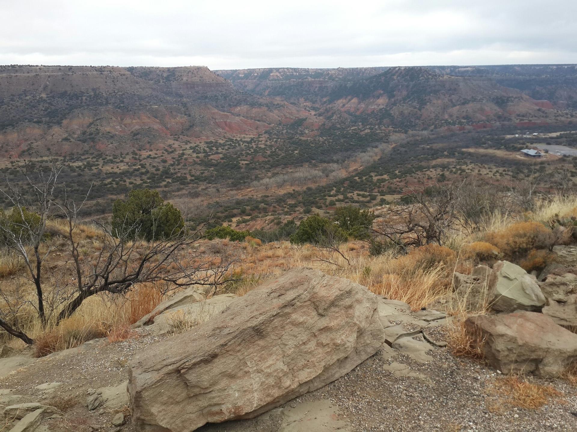 Expansive arid canyon vista with sparse vegetation under an overcast sky.
