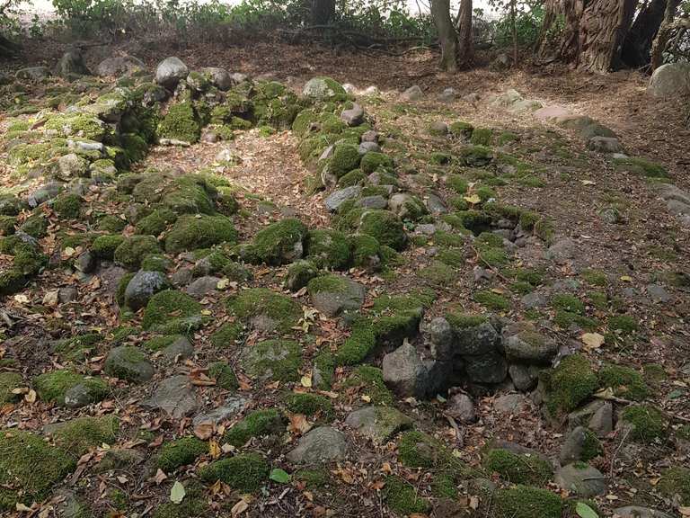 Bronzezeitlicher Grabhügel mit 