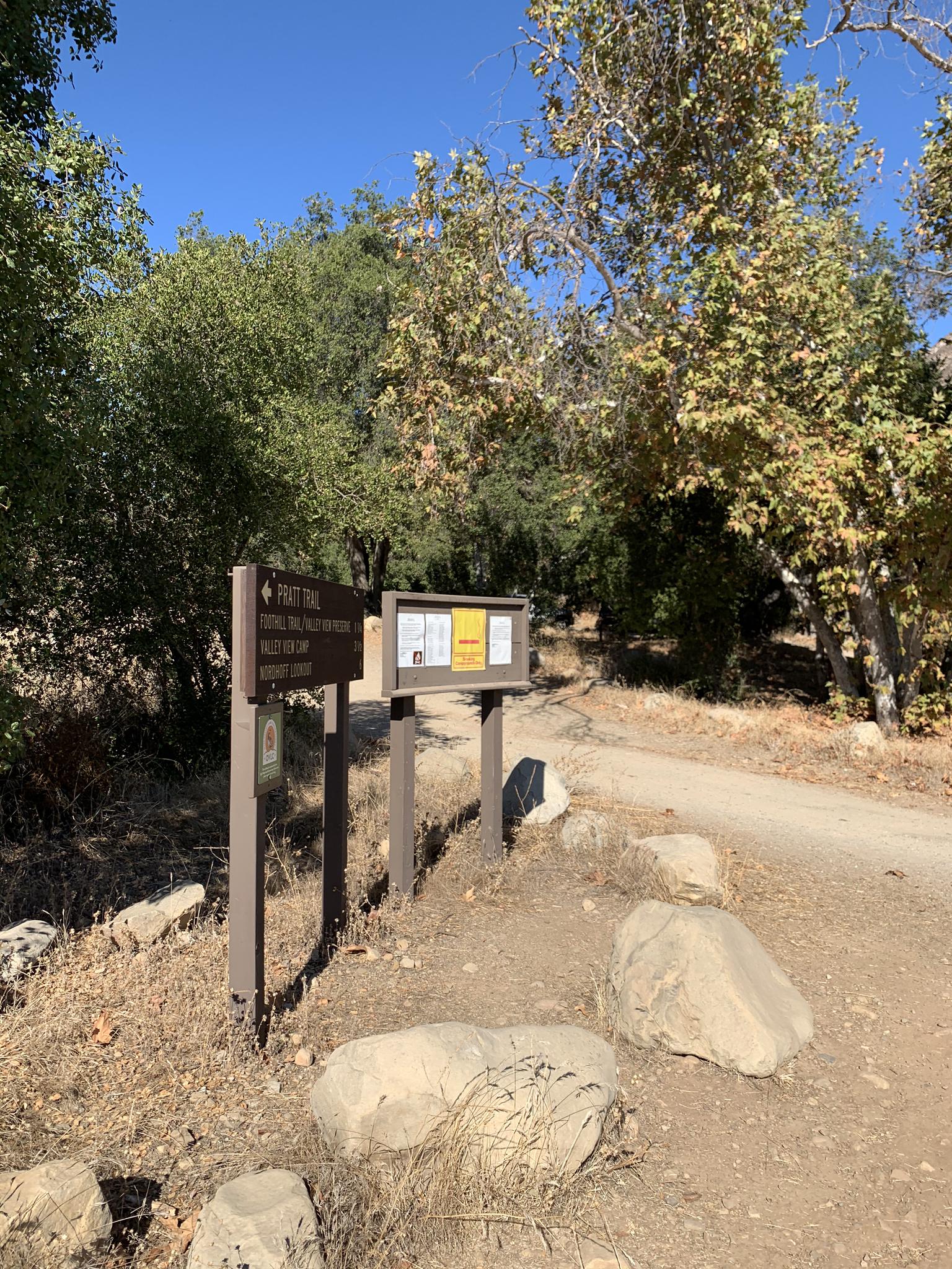Wooden trail signs stand beside a dirt path under bright, sunny trees.
