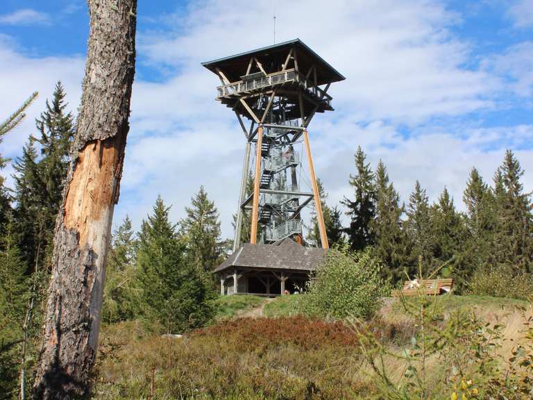 Riesenbühl mit Aussichtsturm Wanderungen und Rundwege komoot