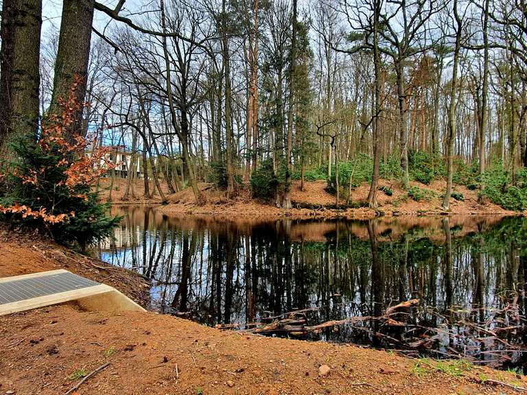 Schwarzes Teich Routes for Walking and Hiking Komoot