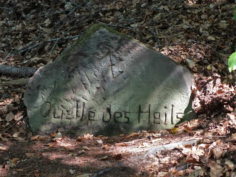 Erlenbrunnen (Quelle des Heils) Wanderungen und Rundwege komoot