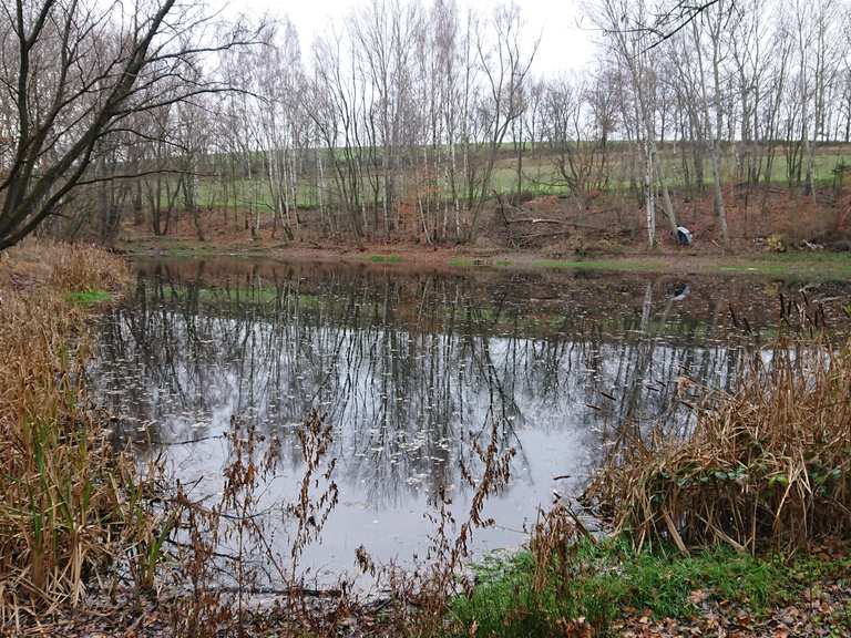 An der Triebisch entlang Götterfelsen Runde von Meißen Triebischtal