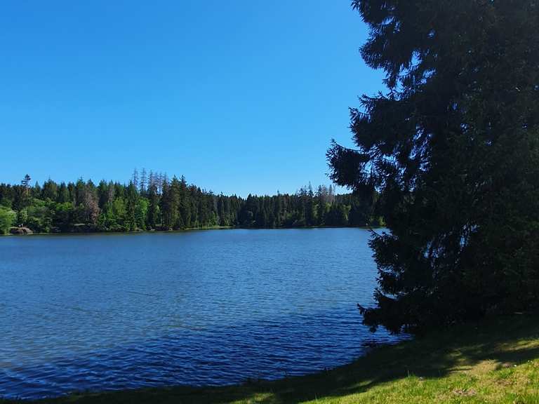 Ziegenberger Teich Wanderungen und Rundwege komoot
