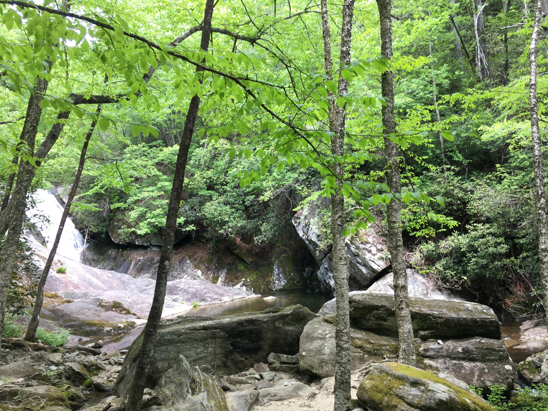 Lush green forest with a waterfall flowing over large rocks.