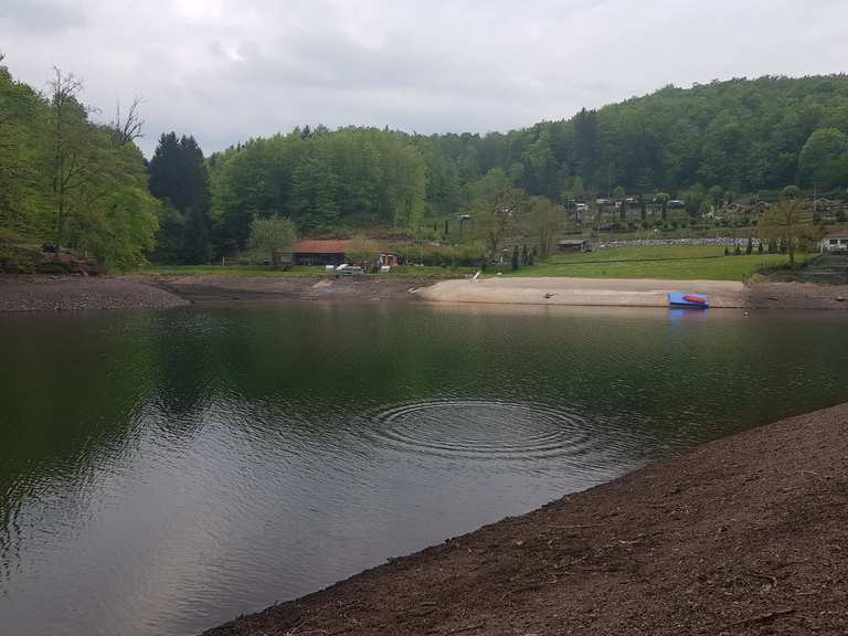 Wiesenbeker Teich Routes for Walking and Hiking Komoot