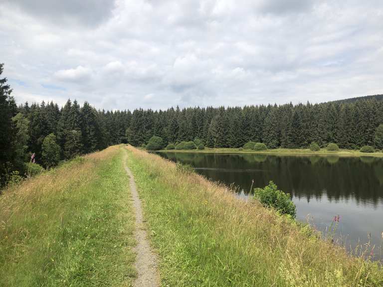 Zankwieser Teich MTBroutes en trails Komoot