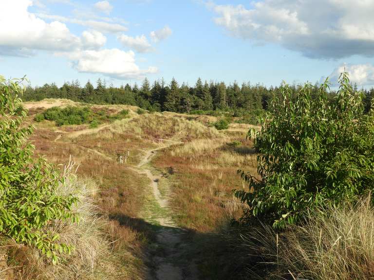 Binnendünen bei Süderlügum Radtouren und Radwege komoot