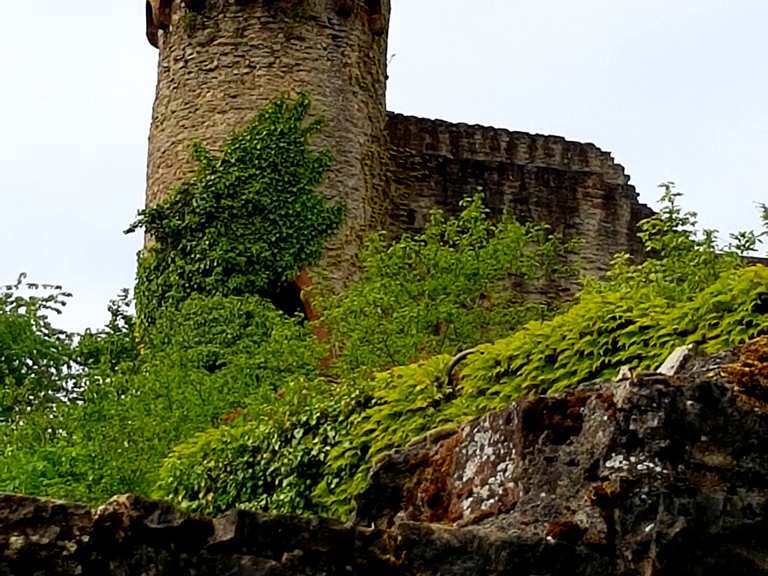 Burg Neidenstein Wanderungen und Rundwege komoot