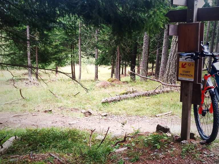 Marzoner alm mtb clearance