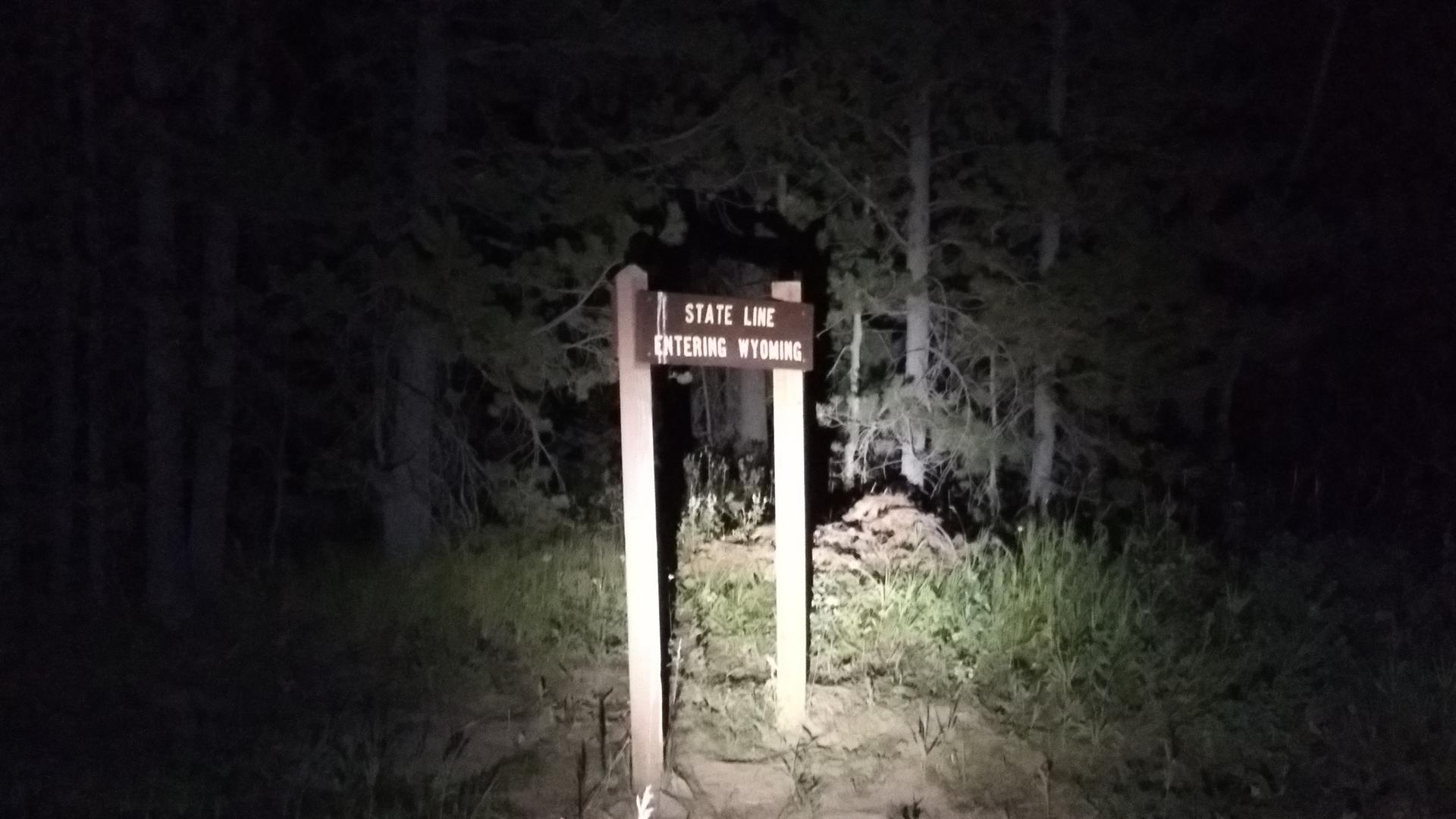 A wooden sign in a dark forest, illuminated by a bright light.