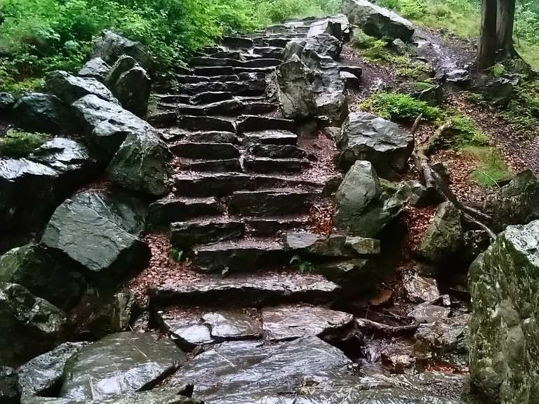Belle montée vers la source de la Géronstère Itinéraires de rando et marche Komoot