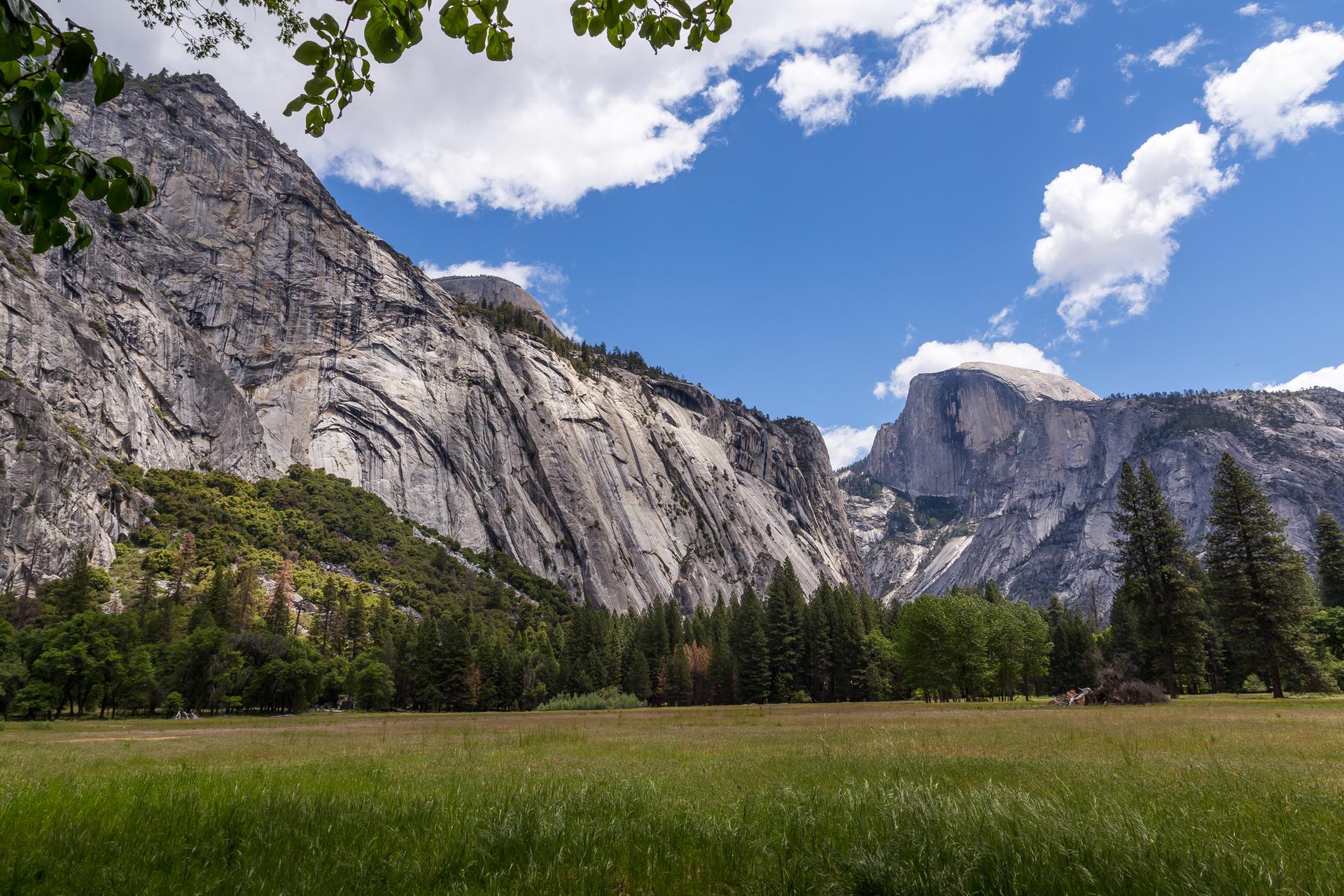 Vast green meadow before towering granite cliffs under a bright blue sky.