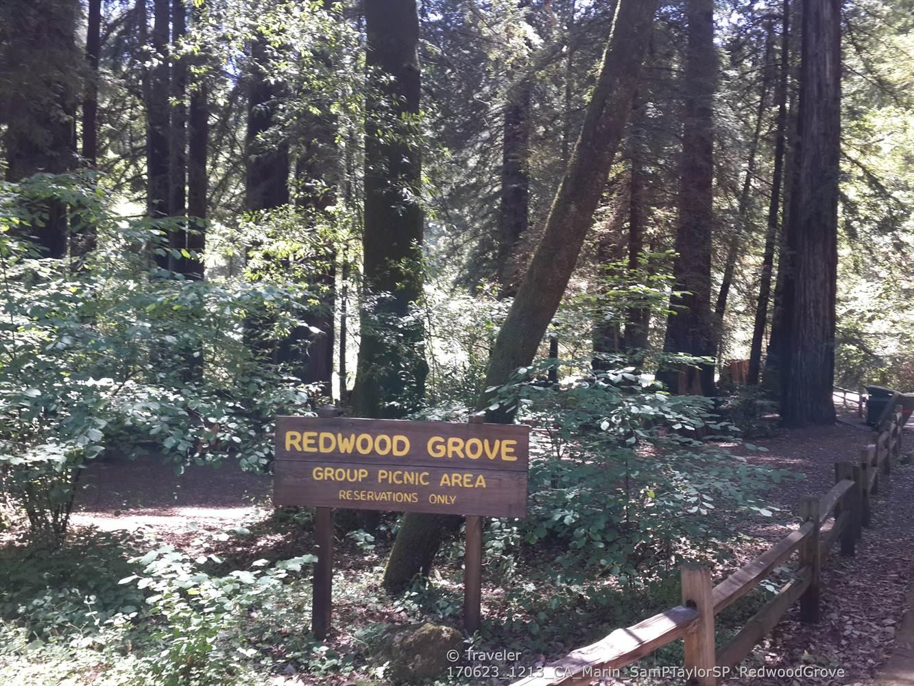 A wooden sign in a dense redwood forest with dappled sunlight on the ground.
