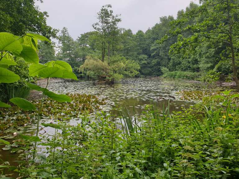 Traeberts Teich - Menden (Sauerland), Märkischer Kreis ...