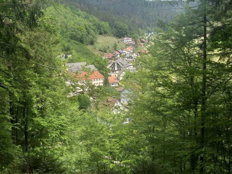 Bank mit Aussicht - Bad Rippoldsau-Schapbach, Freudenstadt ...