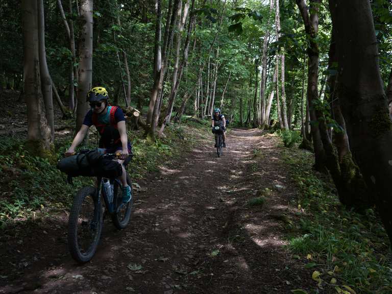 Leigh woods mtb online