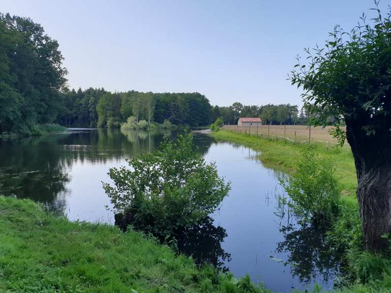 Idyllischer Weg Haseldorfer Marsch Runde von Uetersen Fahrradtour Komoot